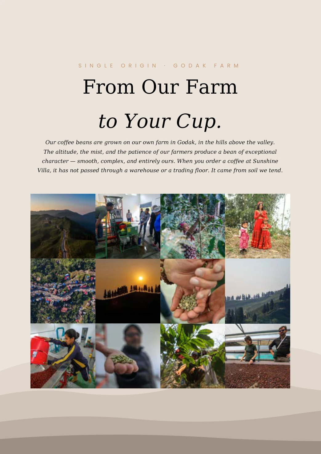 Sunshine Villa menu, page 14: From our farm to your cup